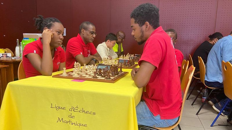 国际象棋：“La Dame de Bellefontaine”公开赛产生了冠军